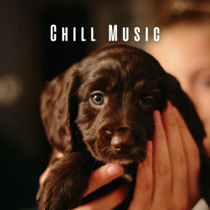 Album Chill Music: Melodic Comfort for Dogs oleh Music For Dogs