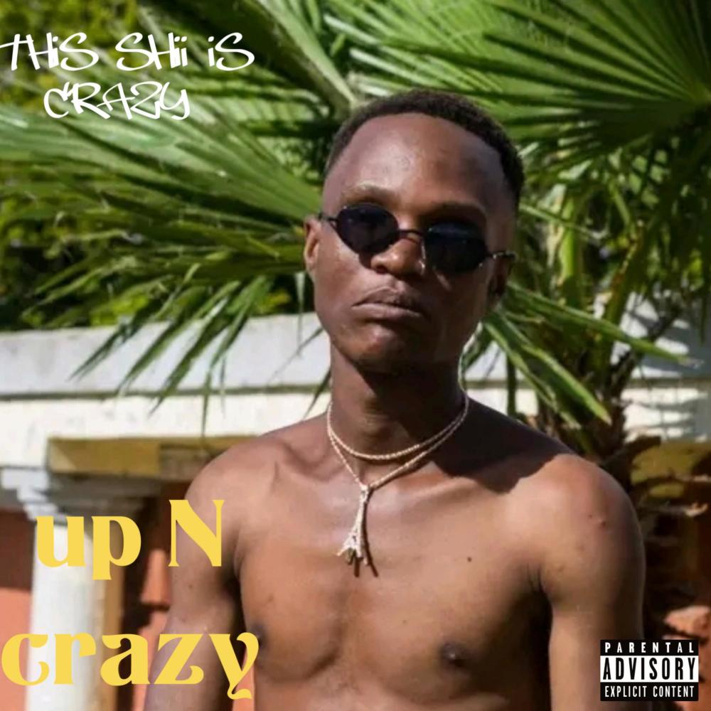 Bigger pic (feat. Makhupani & Topdown Starring Ls (Explicit)