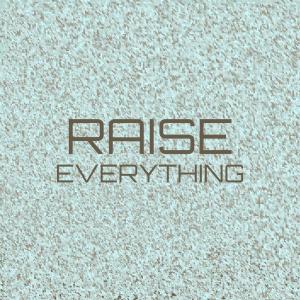 Album Raise Everything from Various