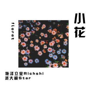 Dengarkan lagu 小花 (伴奏) nyanyian 施泽立业Richshi dengan lirik