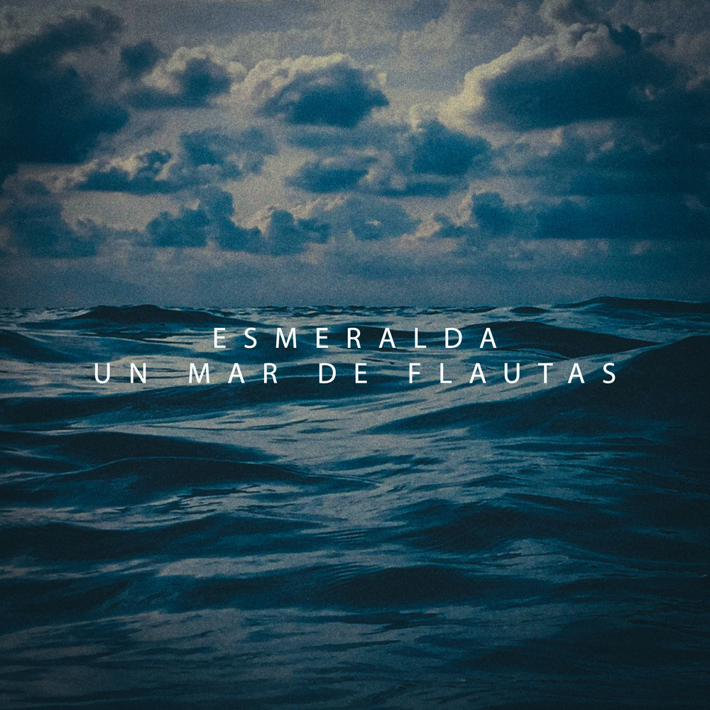 Un Mar De Flautas