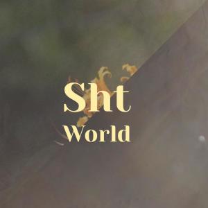 Dengarkan lagu Sht World nyanyian Vico Mard dengan lirik