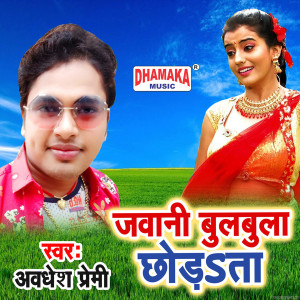 ดาวน์โหลดและฟังเพลง Jawani Bulbulla Chhodata พร้อมเนื้อเพลงจาก Awadhesh Premi