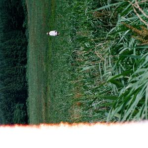 ดาวน์โหลดและฟังเพลง 초록을 보는 게 익숙해지면 (Getting used to summer) (Inst.) พร้อมเนื้อเพลงจาก 김이음