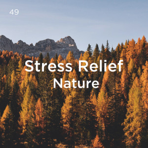 Nature Sounds Nature Music的專輯49 Stress Relief Nature