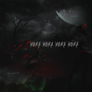 Album More More More More from 