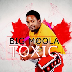 Big Moola的專輯Toxic