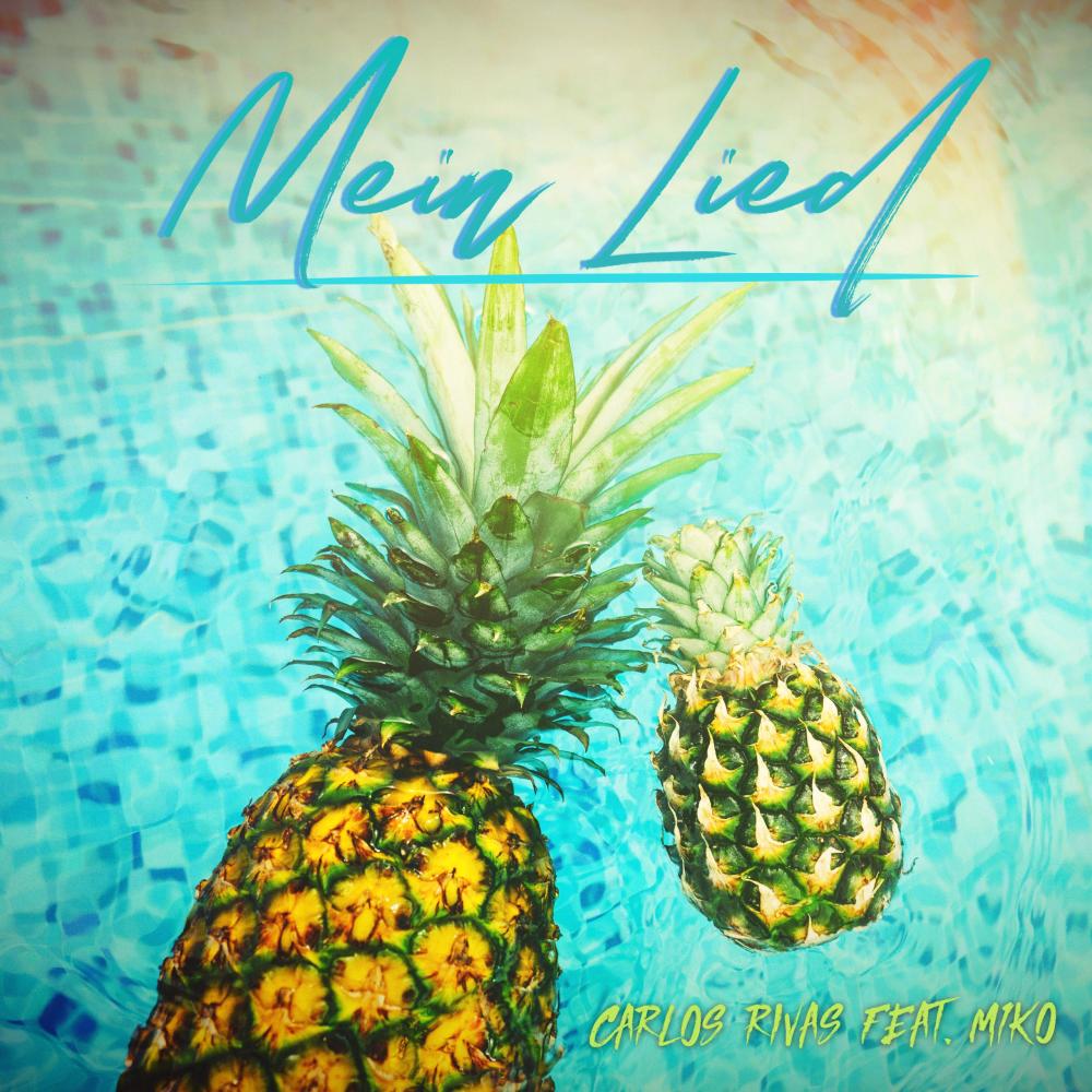 Mein Lied (feat. M1KO)