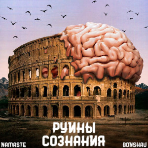 Album Руины сознания from Namaste