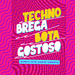 ดาวน์โหลดและฟังเพลง Techno Brega - Bota Gostoso (Explicit) พร้อมเนื้อเพลงจาก Dj Bruninho Pzs