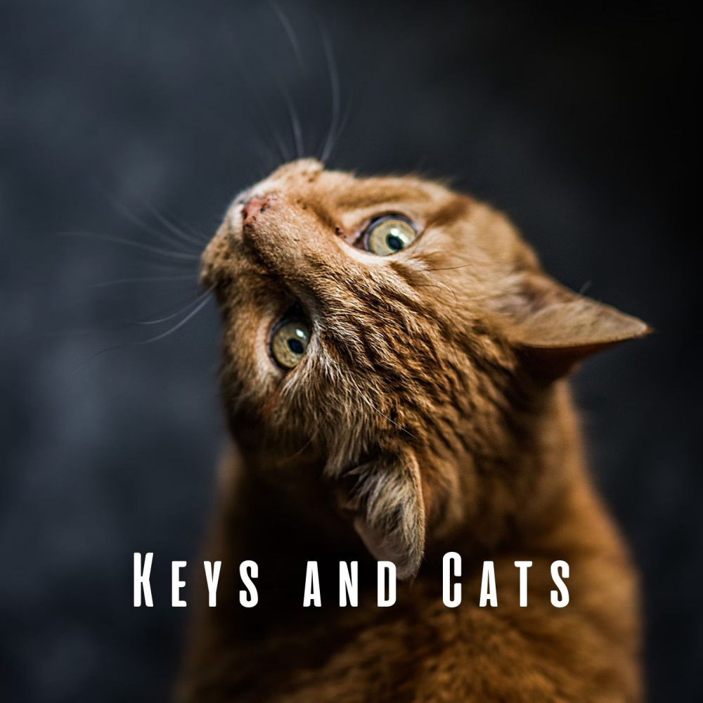 Catnap Melodies on Keys