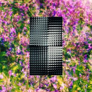 收聽Liláh的All I ✧Wanted✧歌詞歌曲