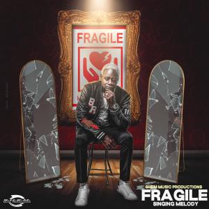 Singing Melody的專輯Fragile
