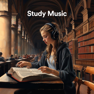 Dengarkan Nocturne in E flat major, Op 9, no2 lagu dari Fryderyk Chopin dengan lirik