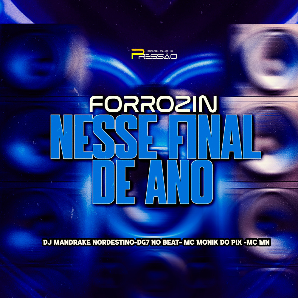 Forrozin Nesse Final de Ano