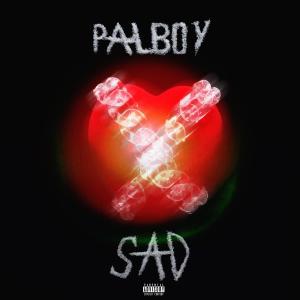 ดาวน์โหลดและฟังเพลง sad (Explicit) พร้อมเนื้อเพลงจาก Palboy