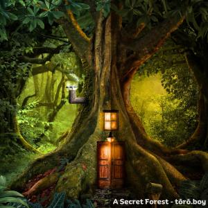 A Secret Forest dari tōrō.boy