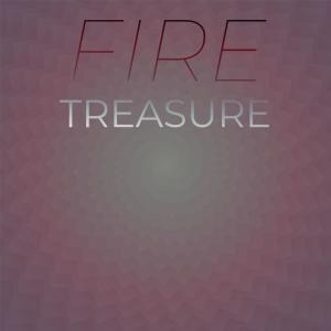 Various Artists的專輯Fire Treasure