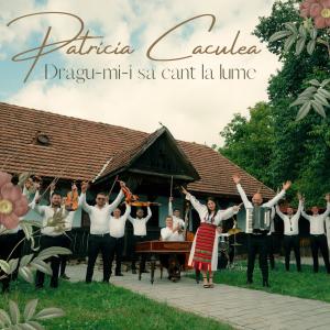 Listen to Dragu-mi-i sa cant la lume song with lyrics from Patricia Caculea