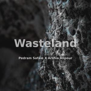 Listen to Who Am I song with lyrics from Pedram Safaie