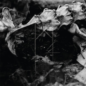 Listen to Deadoath (feat. Alexandra White) song with lyrics from Cogent