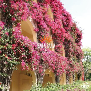 Listen to soft song with lyrics from Various Artists