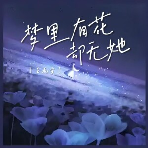 Album 梦里有花却无她 from 王雨尘