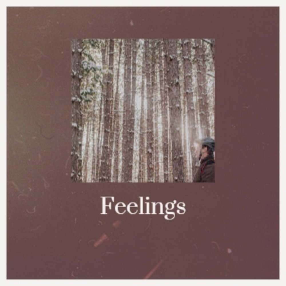 Feelings