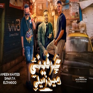 Album عرفينى مين زميلى from Amin Khateb