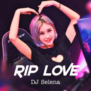 Dengarkan lagu Rip Love (Remix Thailand) nyanyian DJ Selena dengan lirik