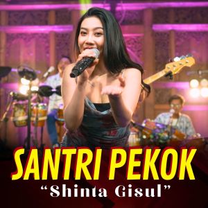 Dengarkan Santri Pekok lagu dari Shinta Gisul dengan lirik