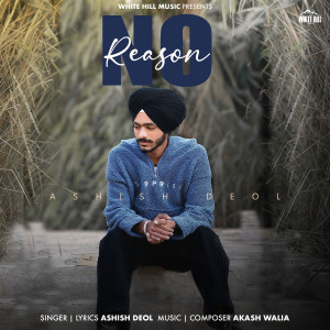 Listen to No Reason song with lyrics from Ashish Deol