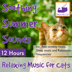 ดาวน์โหลดและฟังเพลง Peaceful Sounds for Grooming Cats พร้อมเนื้อเพลงจาก RelaxMyCat