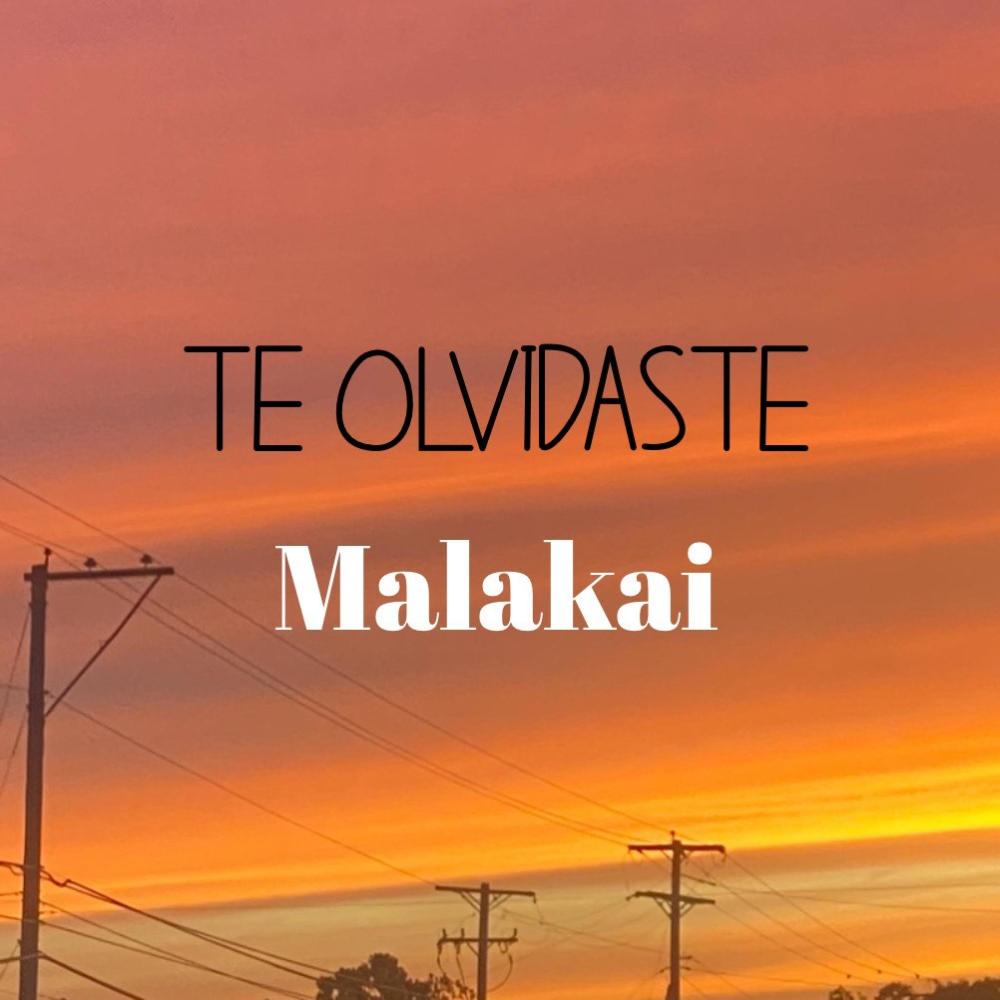 Te Olvidaste
