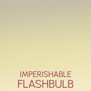 Imperishable Flashbulb dari Various