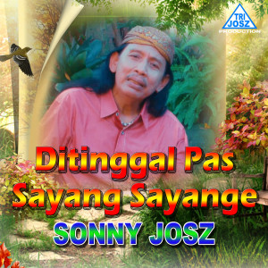 Dengarkan Ditinggal Pas Sayang Sayange (其他) lagu dari Sonny Josz dengan lirik