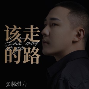 Album 该走的路（男版） from 郝琪力