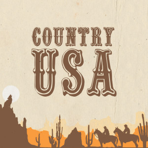 收听Whiskey Country Band的Instrumental Country歌词歌曲