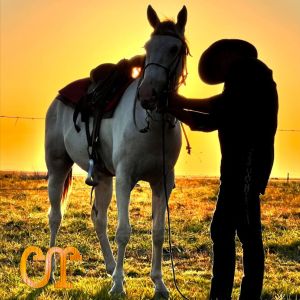 ดาวน์โหลดและฟังเพลง Mosaico Cimarronero: La Negra Rosa / Sentimiento en el Conuco / El que se Moría por Ti / No te Tengo Fe / Guayabo Salvaje / Vivo Enamorado del Llano / Tierra Negra / El Guate พร้อมเนื้อเพลงจาก Carlos Rico