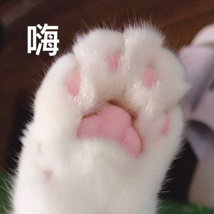 笛子不打折