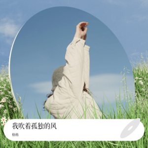 Album 我吹着孤独的风 from 芃苒格格