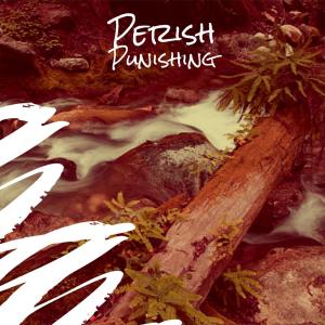 Various的专辑Perish Punishing