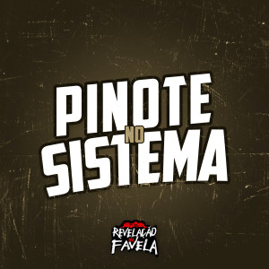 收聽Mc Ry ZL的Pinote no Sistema歌詞歌曲