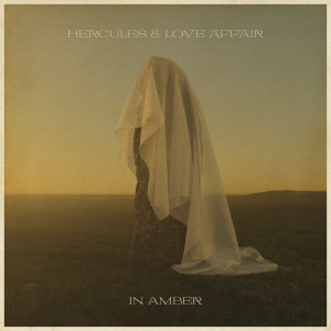 Hercules And Love Affair的專輯In Amber (Remixes)