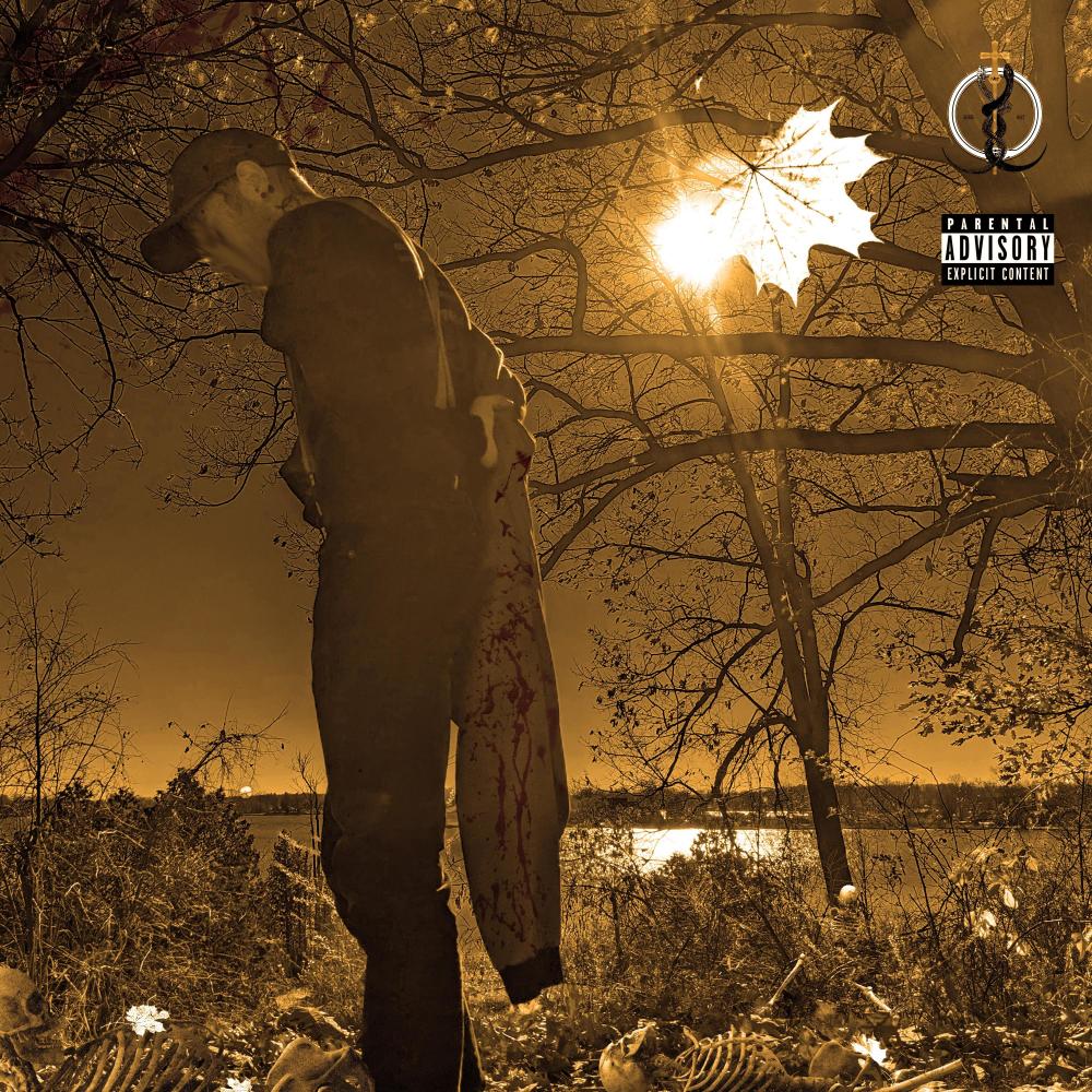 Vibrant Grapes (Explicit)