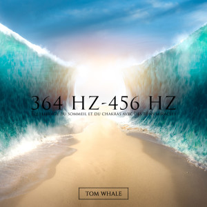 ดาวน์โหลดและฟังเพลง 423 Hz - Équilibrage des chakras (其他) พร้อมเนื้อเพลงจาก Tom Whale