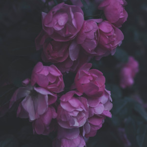 Listen to I Know Your Sick Heart song with lyrics from 데일리 스케치