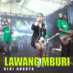 Dengarkan Lawang Mburi (Versi Koplo) lagu dari Alvi Ananta dengan lirik