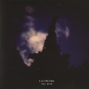 Album This Deed from Electrelane
