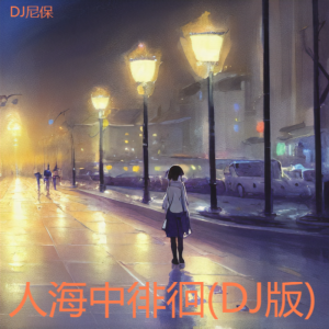 Listen to 人海中徘徊(DJ版) (其他) song with lyrics from DJ尼保